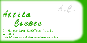 attila csepes business card